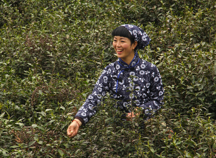梦连直播热门8